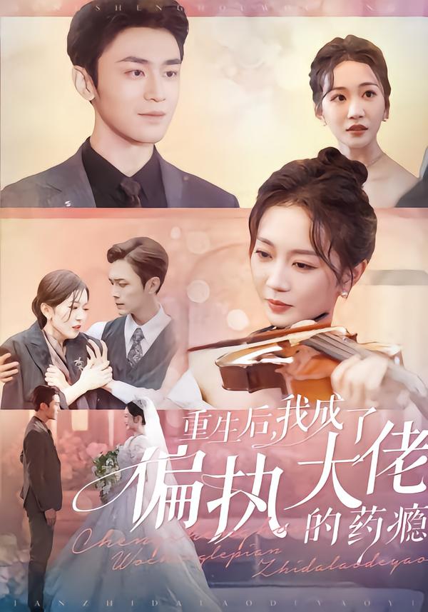 重生后,我成了偏执大佬的药瘾